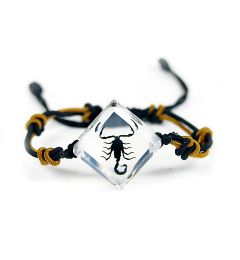 Real Black Scorpion In Resin Bracelet Real Nature Gifts