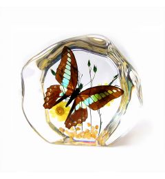 A - Real Butterfly In Lucite Real Nature Gift