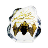Real Bat Horseshoe Bat Large w/ Sticks In Clear Resin Real Nature Gift 2