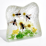 Real Honeybee in Square Resin Paperweight Desktop Decoration Real Nature Gifts