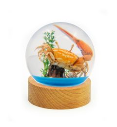 A - Real Fiddler Crab Globe Real Nature Gift Decoration
