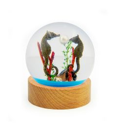 A -  Real Seahorse Friendship Globe Decoration with Stand Real Nature Gift