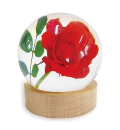 A - Real Rose Globe Decoration With WoodStand Real Nature Gift