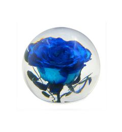 A - Real Blue Rose Globe Decoration Real Nature Gift