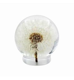 A - Real Dandelion Globe Decorations