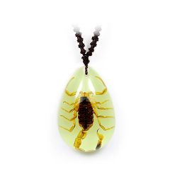 A - Real Scorpion Necklace (Glows-In-The-Dark) Real Nature Gift
