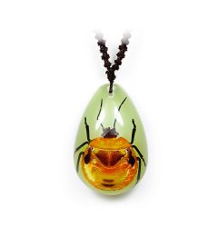 A - Real Flower Bug Necklace (Glows-In-The-Dark) Real Nature Gift