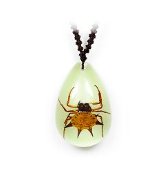 A - Real Spinyback Spider Necklace, Glow In the Dark Real Nature Gift