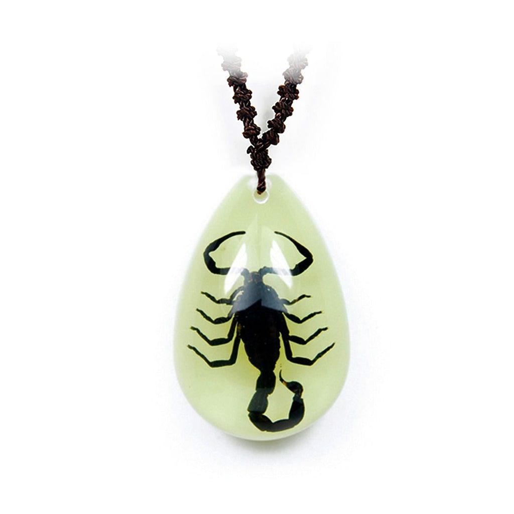 Real Black Emperor Scorpion Necklace Glow In the Dark Teardrop Real Nature Gift
