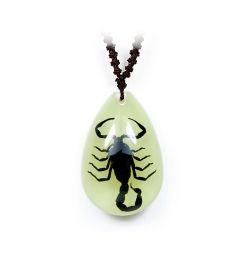 A - Real Black Emperor Scorpion Necklace, Glow In the Dark Real Nature Gift