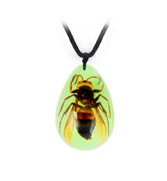 A - Real Wasp Necklace (Glows-In-The-Dark) Real Nature Gift