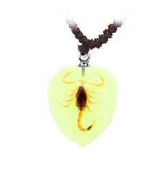 A - Real Bark Scorpion Heart Necklace, Glows In The Dark Real Nature Gift