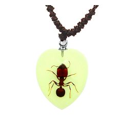 Real Ant Necklace - Heart Shaped - Glow-In-The-Dark Real  Nature Gift
