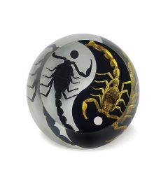Black Emperor and Bark Scorpion Yin-Yang  Paperweight Cylinder Shape