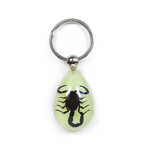 A - Real Black Scorpion Keychain (Glows-In-The-Dark) Real Nature Gift With Box