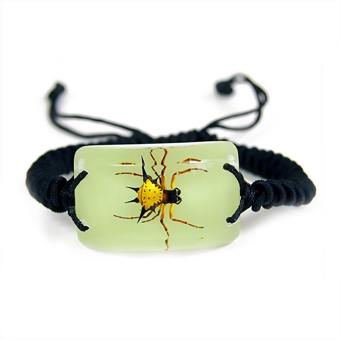 A - Real Spiny Spider Bracelet (Glows-In-The-Dark) Real Nature Gift Jewelry With Box