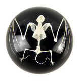 Real Bat Skeleton – Half-Dome Resin Display with Black Background (4" x 2") | Real Nature Gift