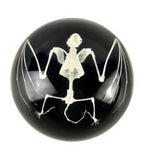 Real Bat Skeleton – Half-Dome Resin Display with Black Background (4" x 2") | Real Nature Gift