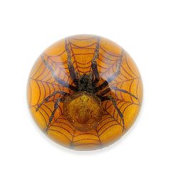A - Real Spider in Resin Half-dome Type Real Nature Gift